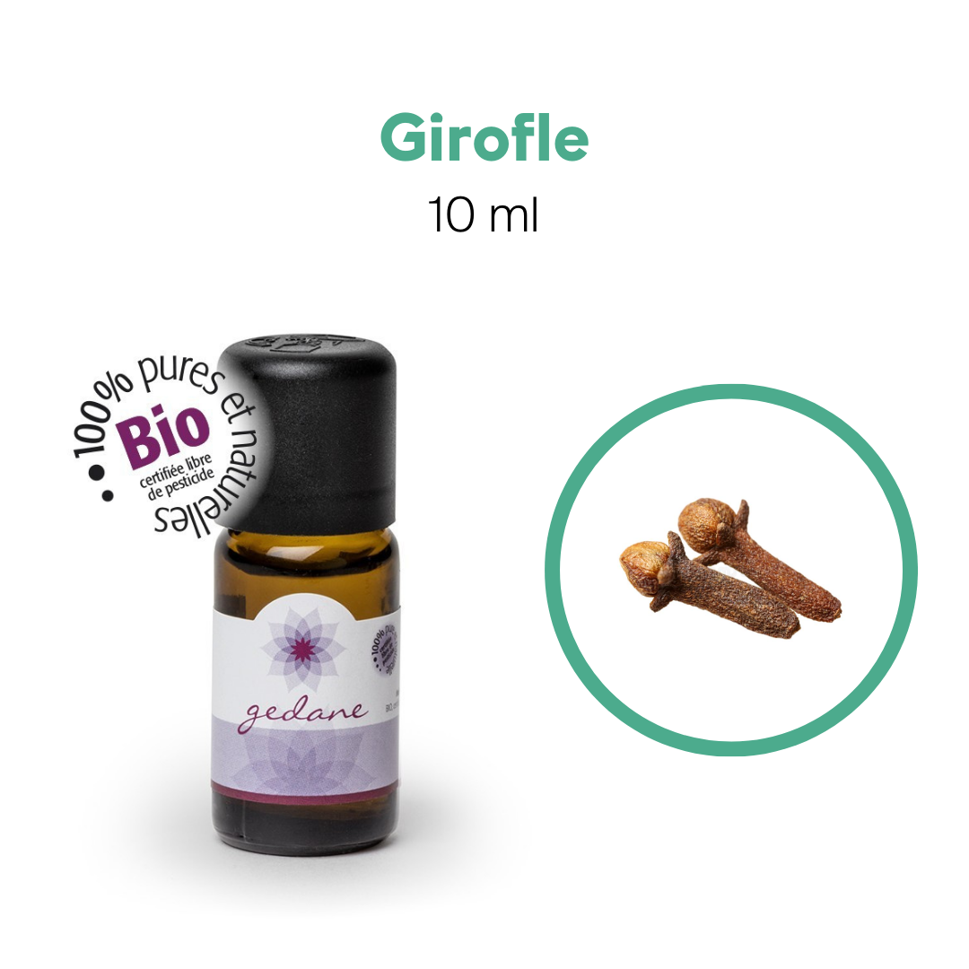 Dúo Promo • Kit de débutant essentiel + Trousse de transport pour huile essentielle