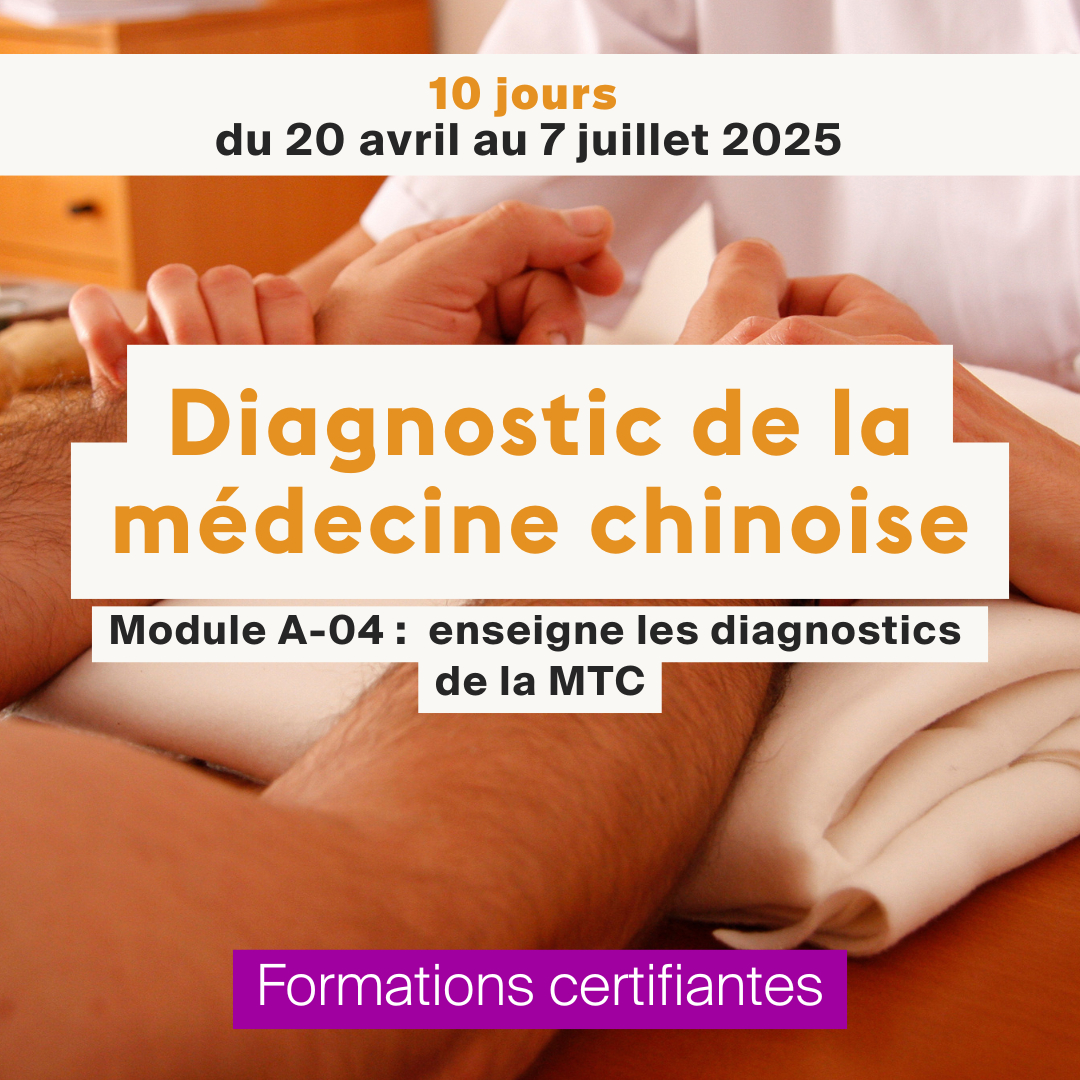 Diagnostic de la médecine chinoise • Module A-04 - 10 jours