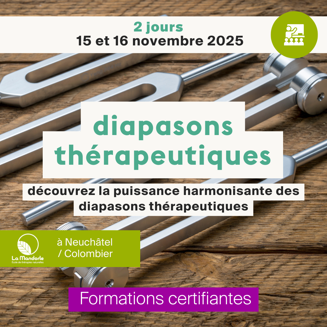 Diapasons thérapeutiques • Novembre 2025 • 2 jours