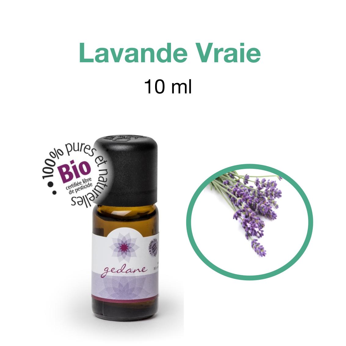 Huiles-essentielles • Lavandula angustifolia Gedane