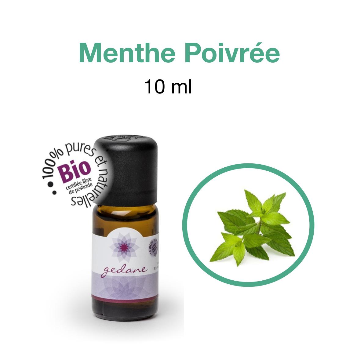 Huiles-essentielles • Menthe Poivrée Gedane