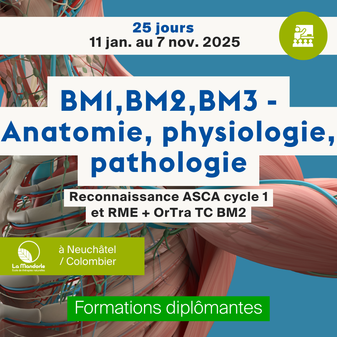 BM1, BM2, BM3 - Anatomie, physiologie, pathologie • ASCA cycle 1, RME + OrTra TC BM2 - 25 jours