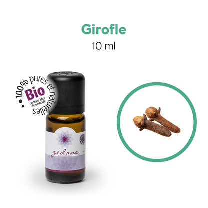 Dúo Promo •  Kit de débutant essentiel + Trousse de transport pour huile essentielle