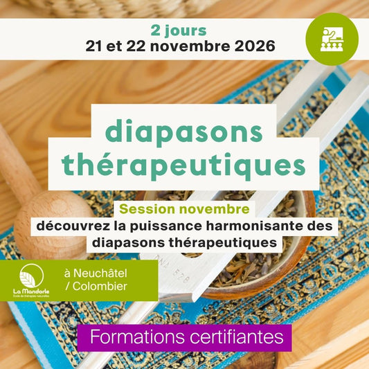 Diapasons thérapeutiques • Novembre 2026 • 2 jours