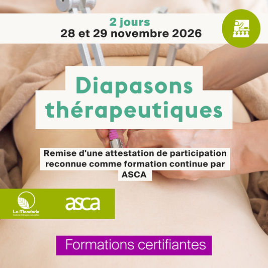 Diapasons thérapeutiques • Novembre 2026 • 2 jours