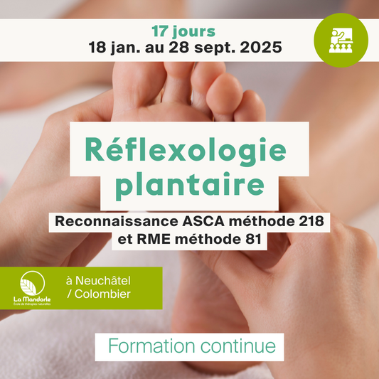 Réflexologie  plantaire • ASCA méthode 218 et RME méthode 81 - 17 jours