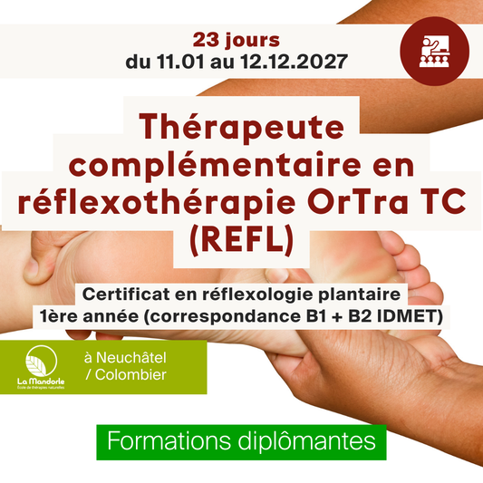 Réflexothérapie OrTra TC (REFL) • Niveau 1  Fondements  B1.1 et B1.2   - 150 h