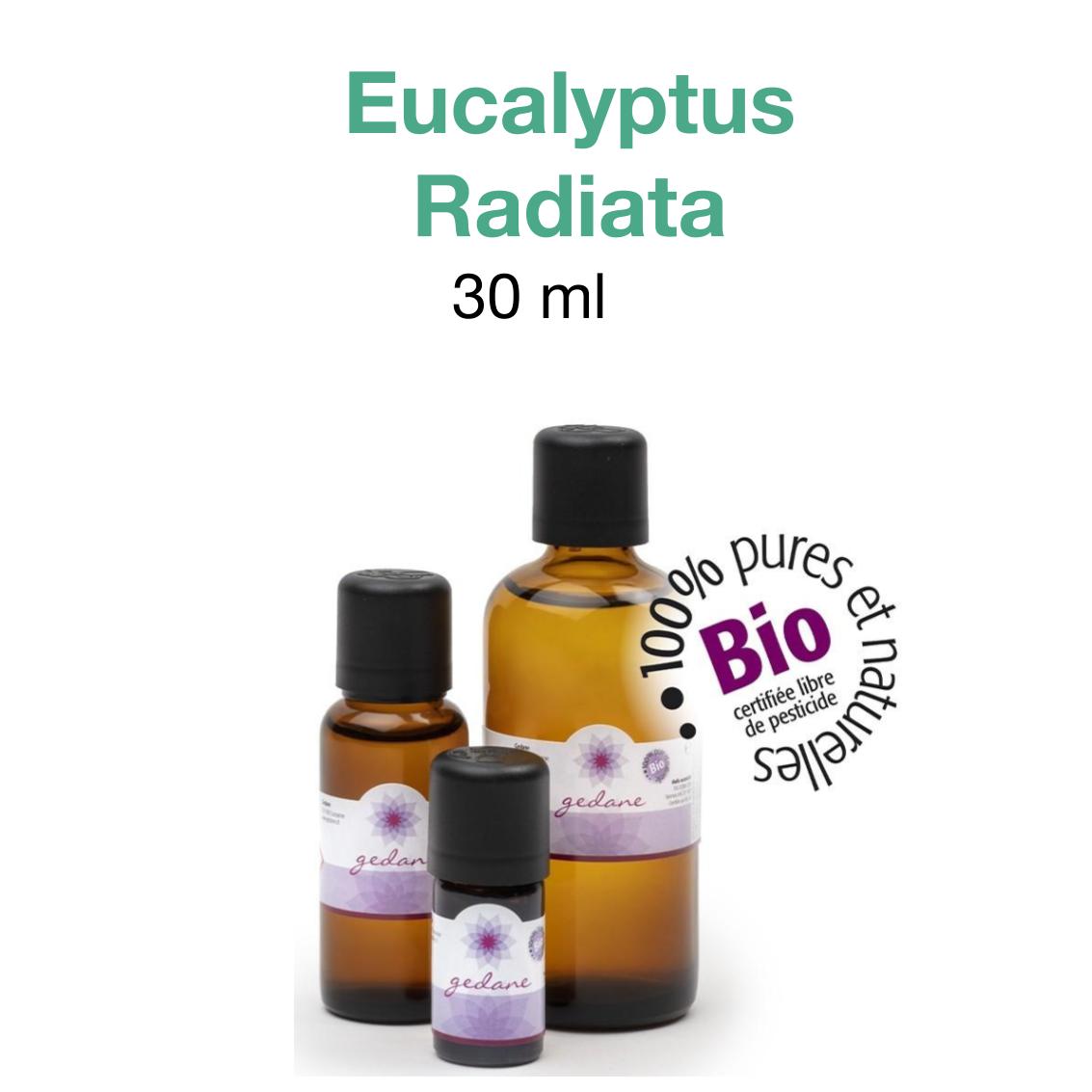 Huiles-essentielles  • Eucalyptus Radiata Gedane