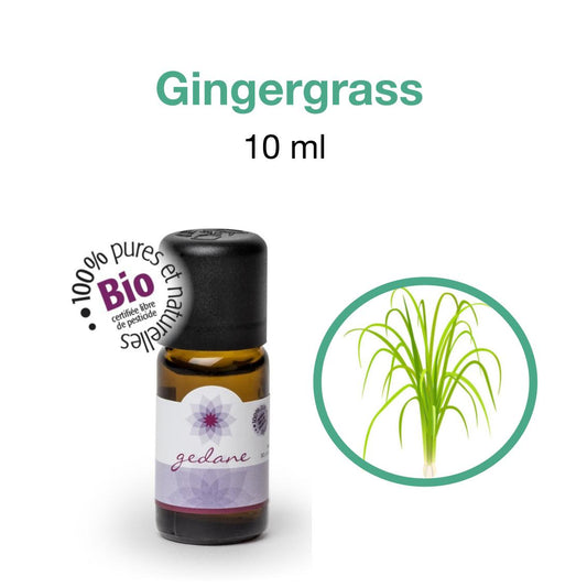 Huiles-essentielles  • Gingergrass Gedane