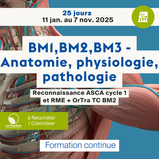 BM1, BM2, BM3 - Anatomie, physiologie, pathologie • ASCA cycle 1, RME + OrTra TC BM2 - 25 jours