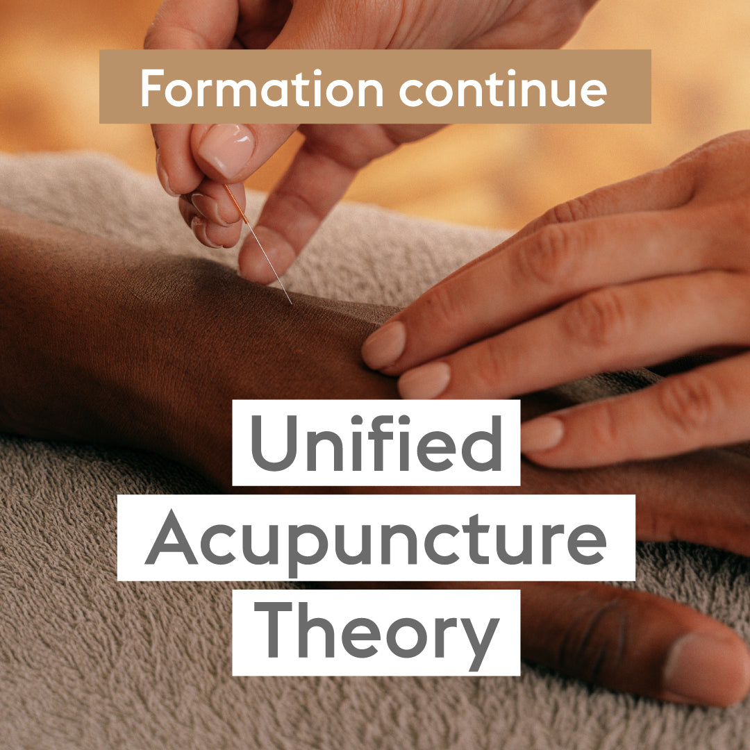 Unified Acupuncture Theory - 6 jours